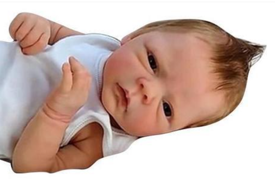 Muñecas Reborn 48 CM Full Body - Ethnic Fashion Model 리뷰 및 가격